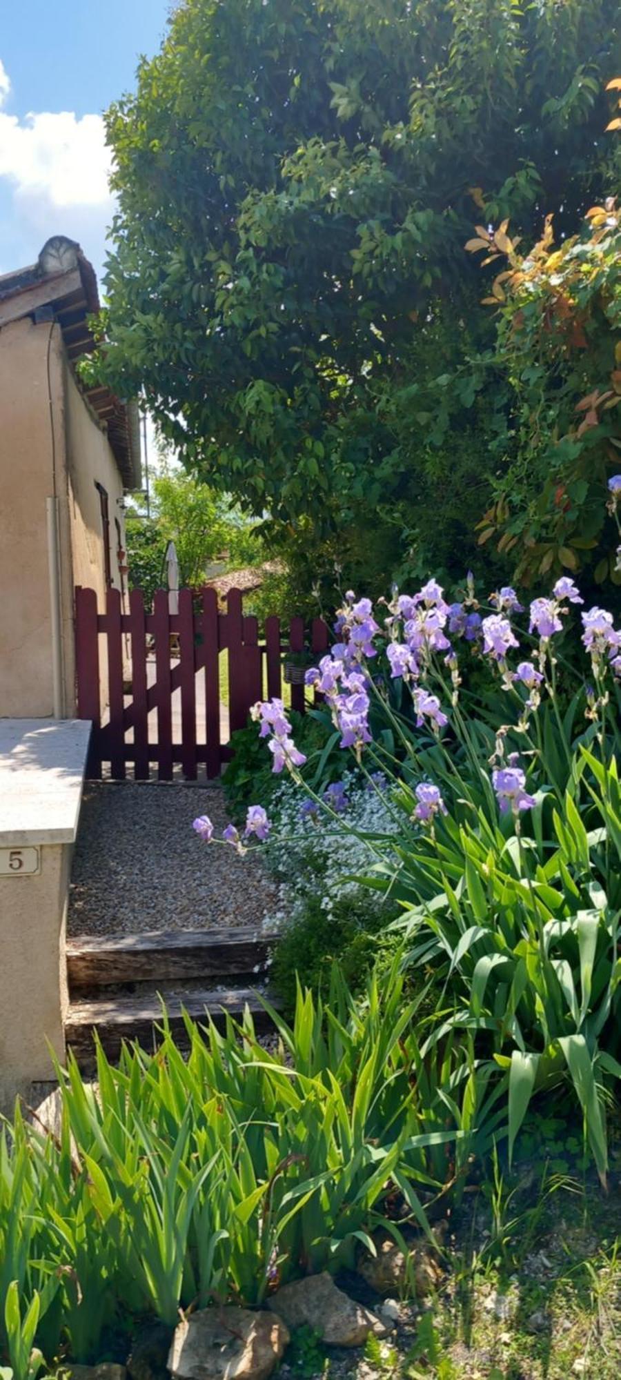 La Maison Du Tourniquet Aubeterre-sur-Dronne Exteriör bild